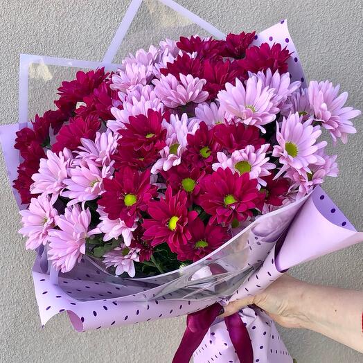 Chrysanthemums Pink-raspberry mix