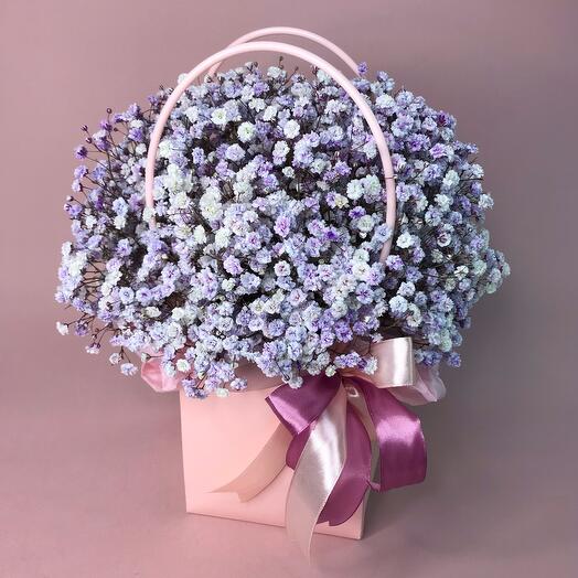 Nube aérea de gypsophila de chef floristería