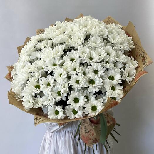 Букет из 35 кустовых хризантем