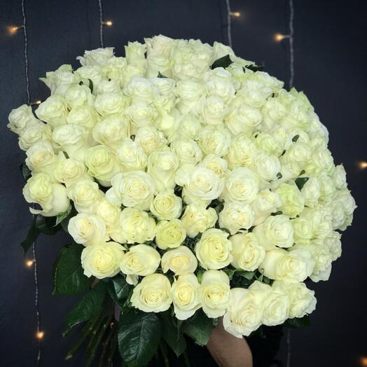 101 White Rose