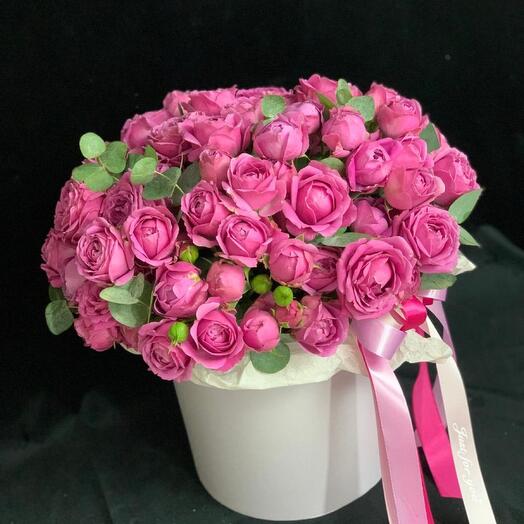 Rosas de arbusto en una Caja de Misty Bubbles
