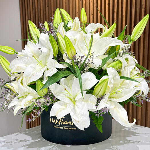 White Lilies In A Flower Box