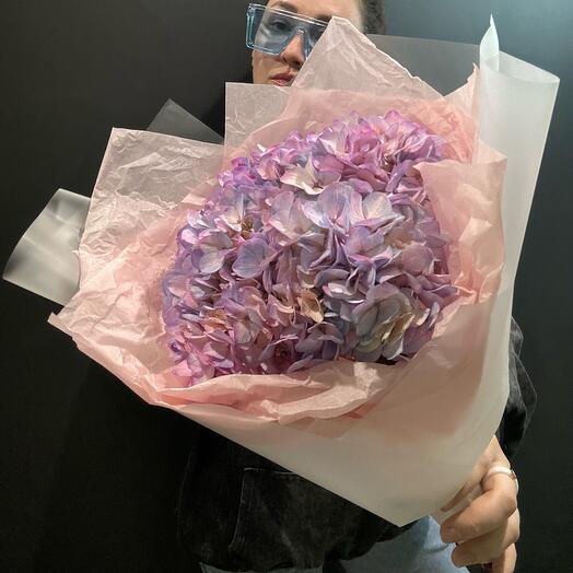 Розовая гортензия в знак внимания🌷
