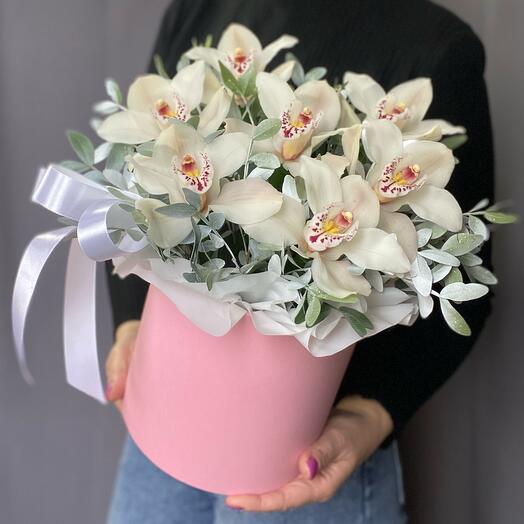 White orchids in a box