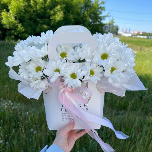 Bush chrysanthemums like daisies