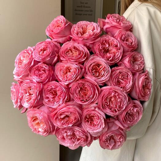 25 peony-shaped Pink Xpression roses