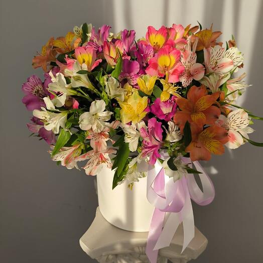 Alstroemeria in a box