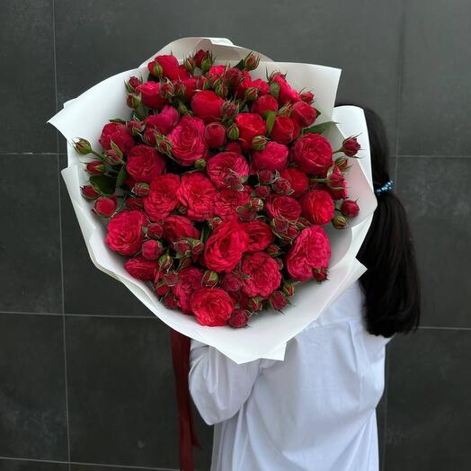 37 Roses red piano