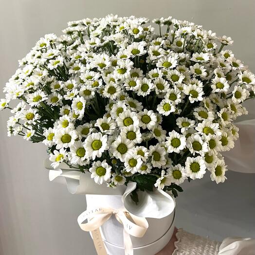 Ромашки в коробке