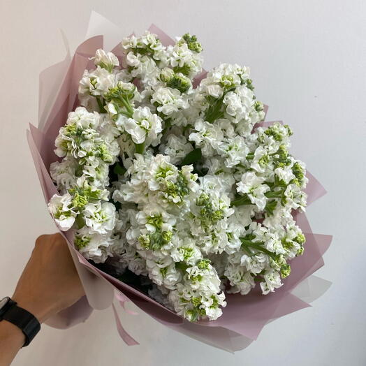 Букет из 29 белых матиолл