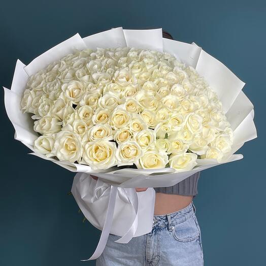 Rosas blancas 101 piezas