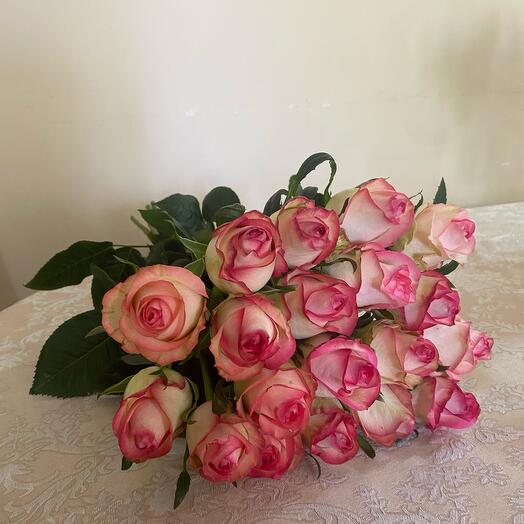 Джумилия розы