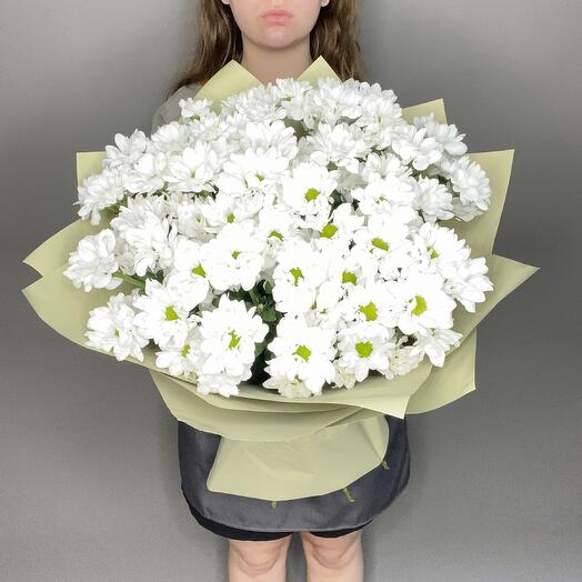 Хризантемы
