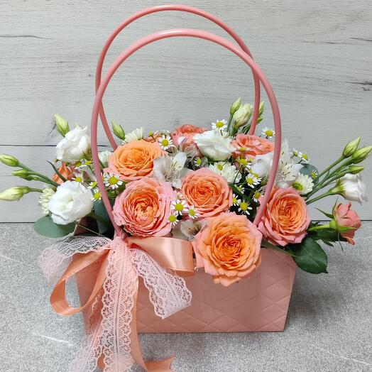 Arbustos de rosas de Coral en una bolsa
