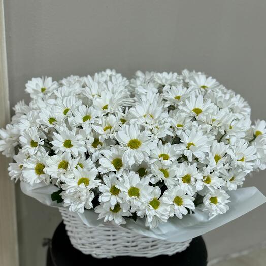 Композиция "Облако"