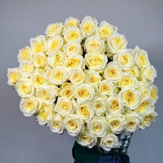 Сладкая жизнь