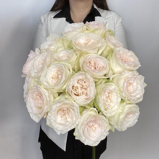 White roses