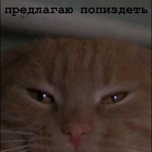 Ii mucus