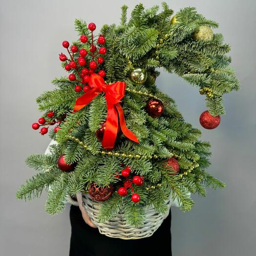 Ëлка новогодняя из нобилиса