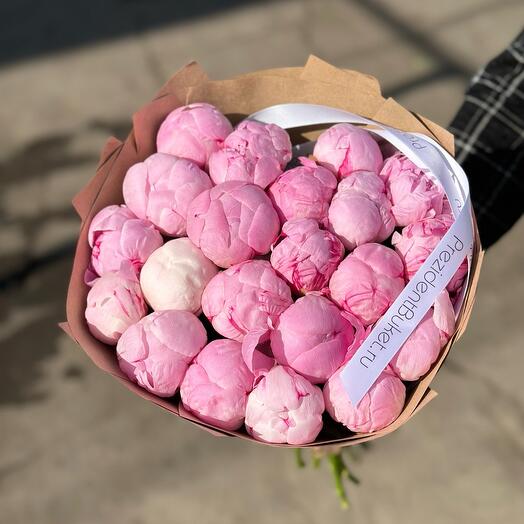 15pcs Peonies