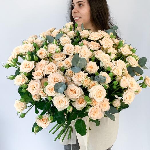 Кустовые розы Таня