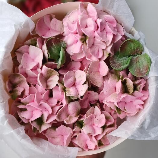 Hortensias de malvavisco