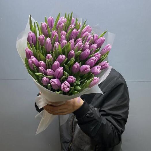 Тюльпан фиолетовый 51 шт