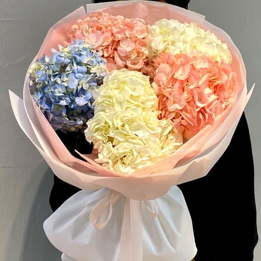 Пять гортензий