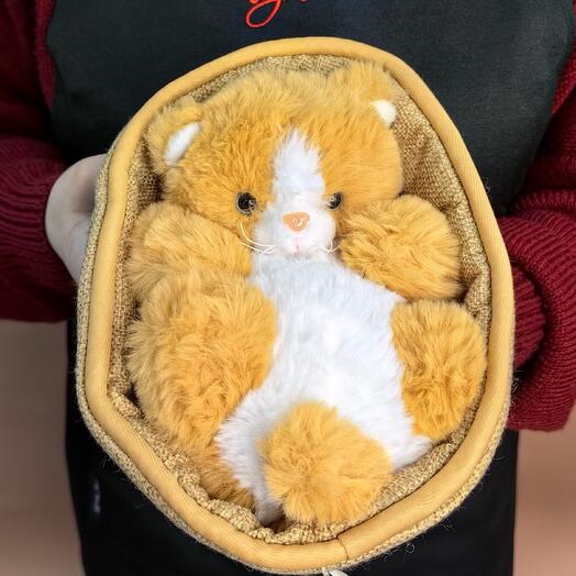 Рыжий котенок