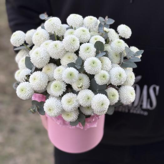 Хризантема кокос в коробке