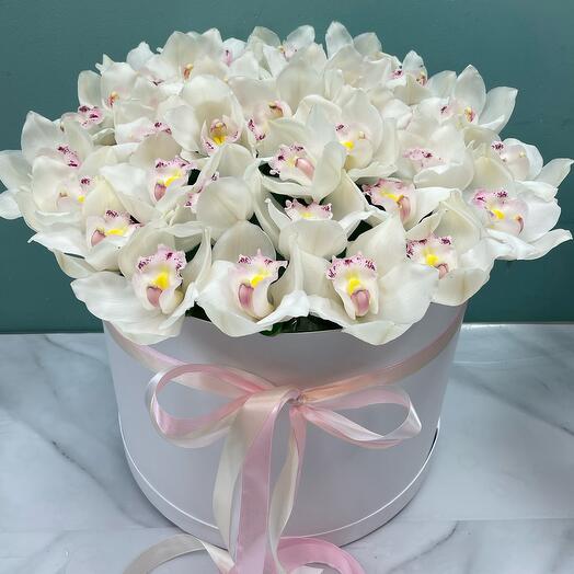 Flores en una Caja de Orquídeas
