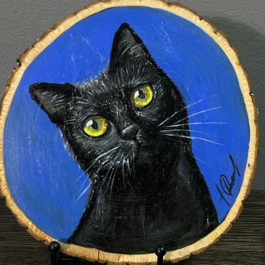 Черный кот