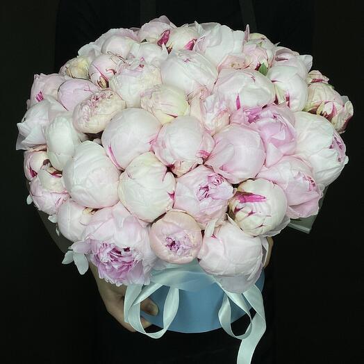 Пионы