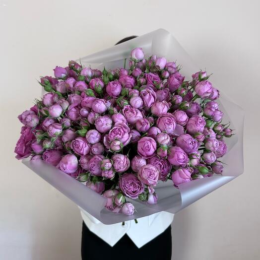 Кустовые розы баблс 21