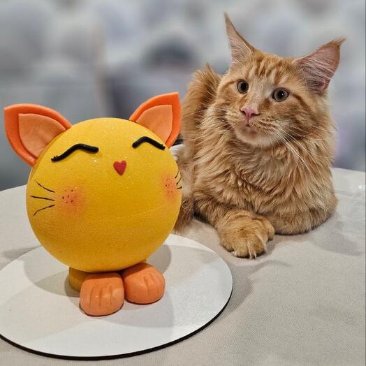 Торт Котик