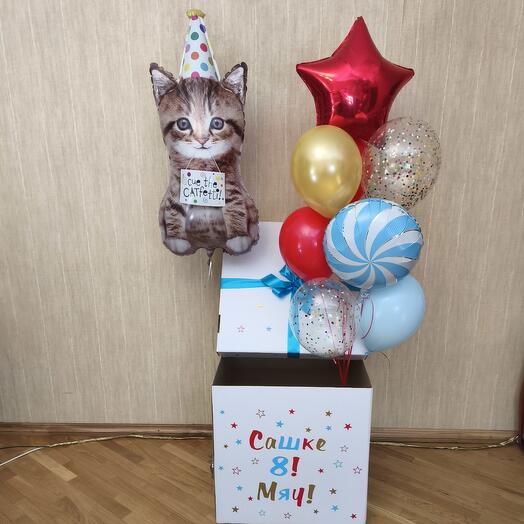 Коробка с яркими шарами и котёнком