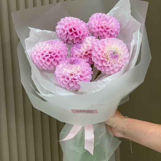 Розовые георгины 🌸сезонные цветы для нежной девушки