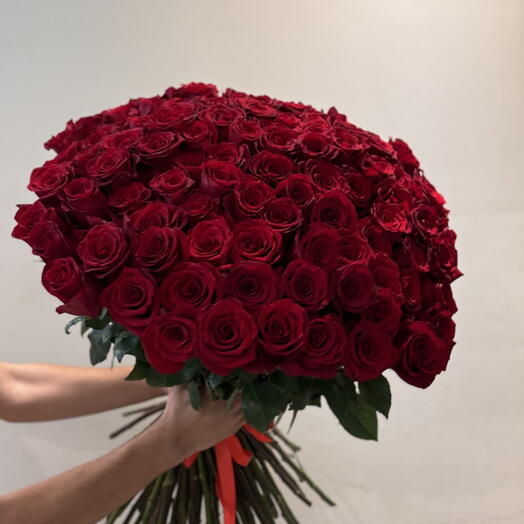 101 red dutch roses