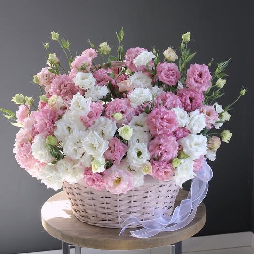 Eustoma in basket