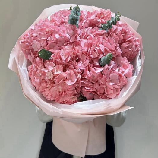 Пышные гортензии