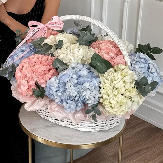 Корзина CLOUD L