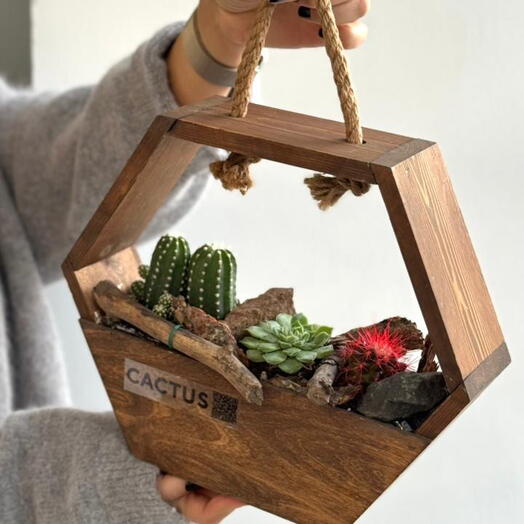 Флорариум «Соты»