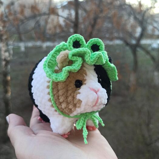 Морская свинка