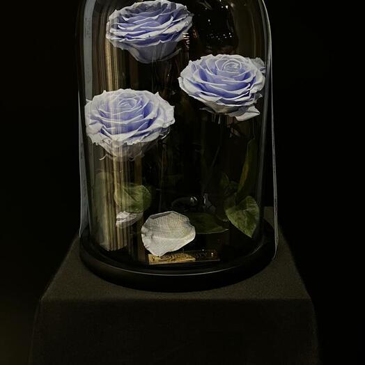 «Blue Eternite Dome»