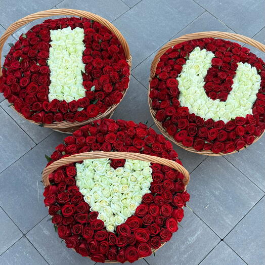 501 Róża „Kocham cię