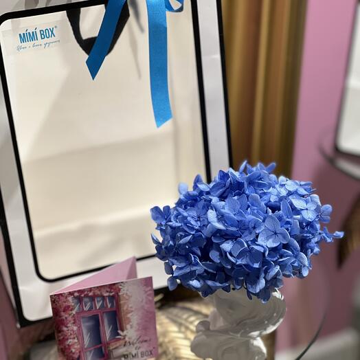 Стабилизированная композиция «Темное небо»