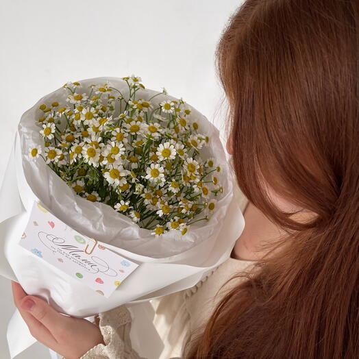 Моно букет из танацетума