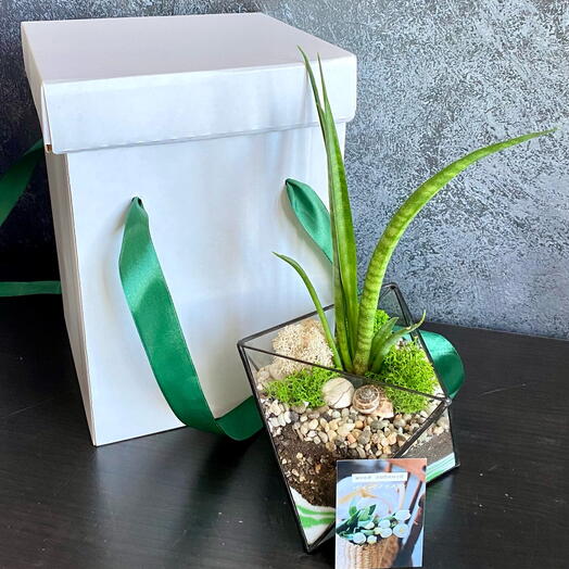 Флорариум «Октаэдр» для любимой мамочки