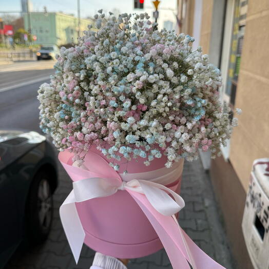 Цветная бело-розовая гипсофила в коробке