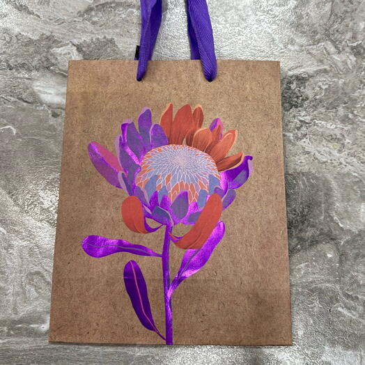 Пакет Крафт с протеей -18/22